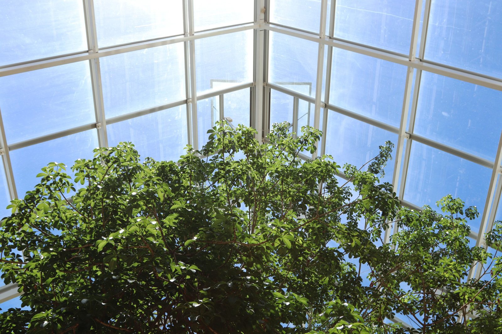 Glass enclosures
